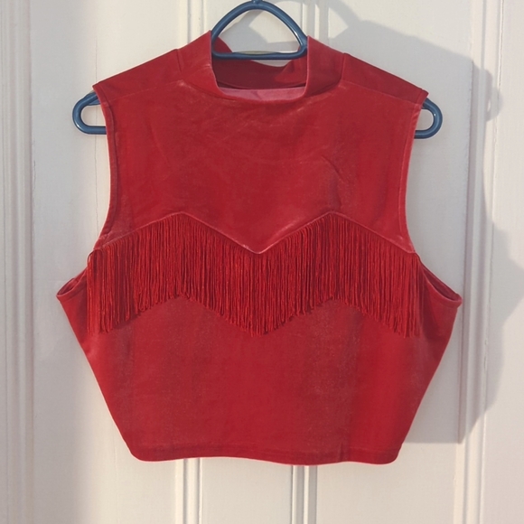 Fashion Brand Company Tops - Fashion brand company velvet western mock neck crop top